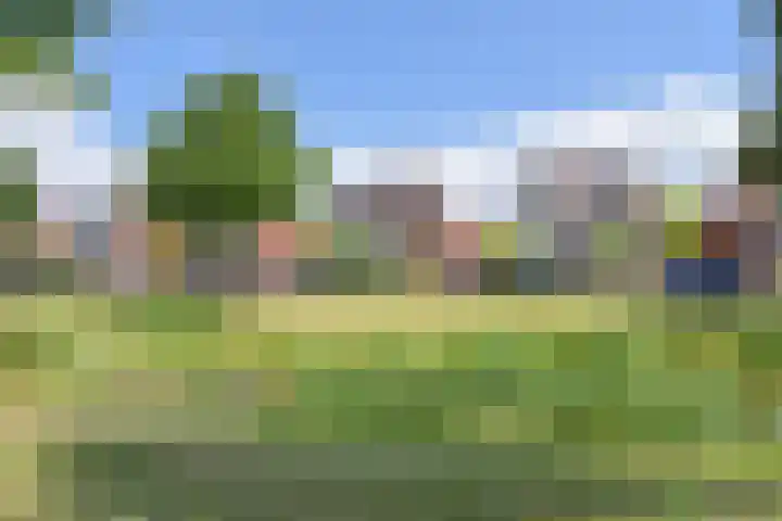 Waghenaerdreef 62 Bergschenhoek thumbnail 45