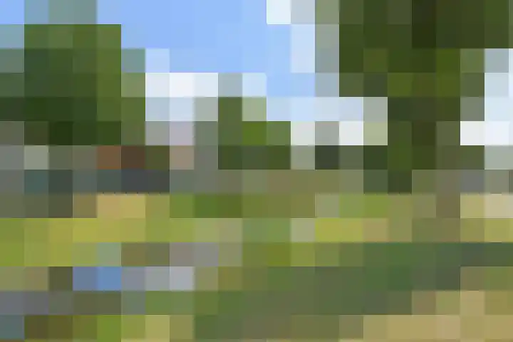 Waghenaerdreef 62 Bergschenhoek thumbnail 46