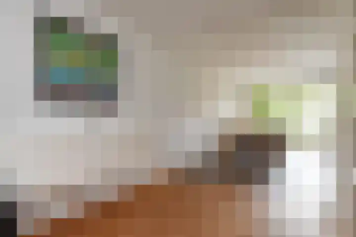 Waghenaerdreef 62 Bergschenhoek thumbnail 9