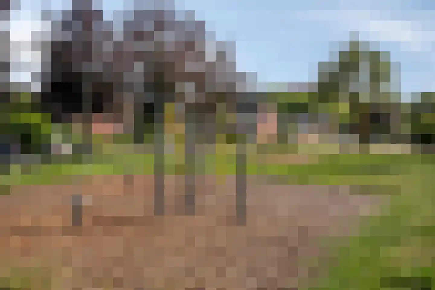 Wagnerhof 2 Terneuzen thumbnail 28