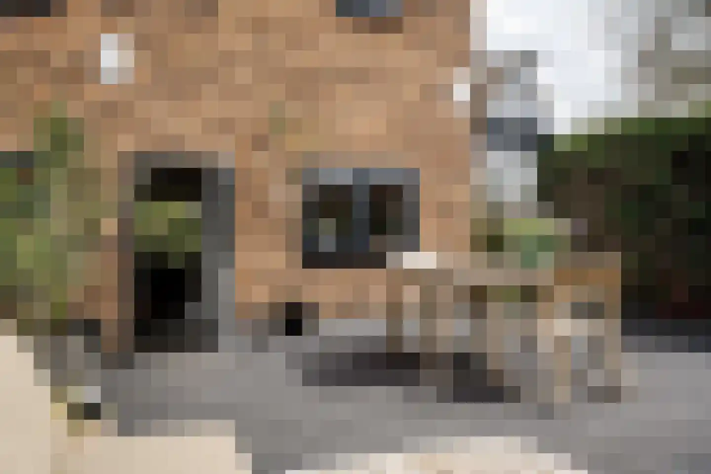 Wagnerkade 21 Heemstede thumbnail 26