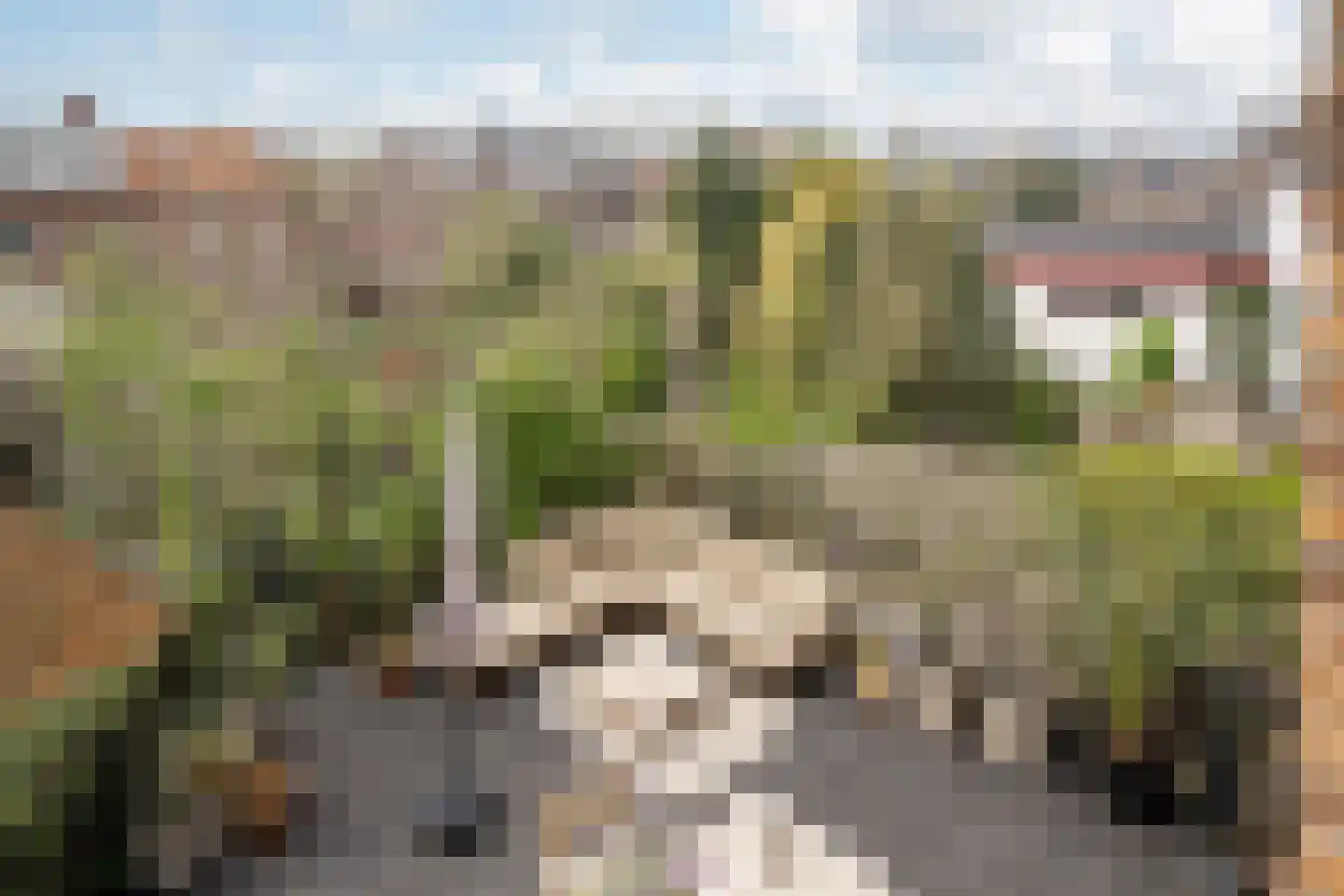 Wagnerkade 21 Heemstede thumbnail 27