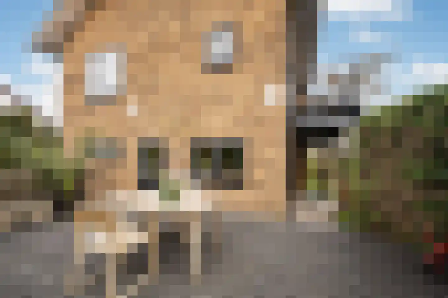 Wagnerkade 21 Heemstede thumbnail 28