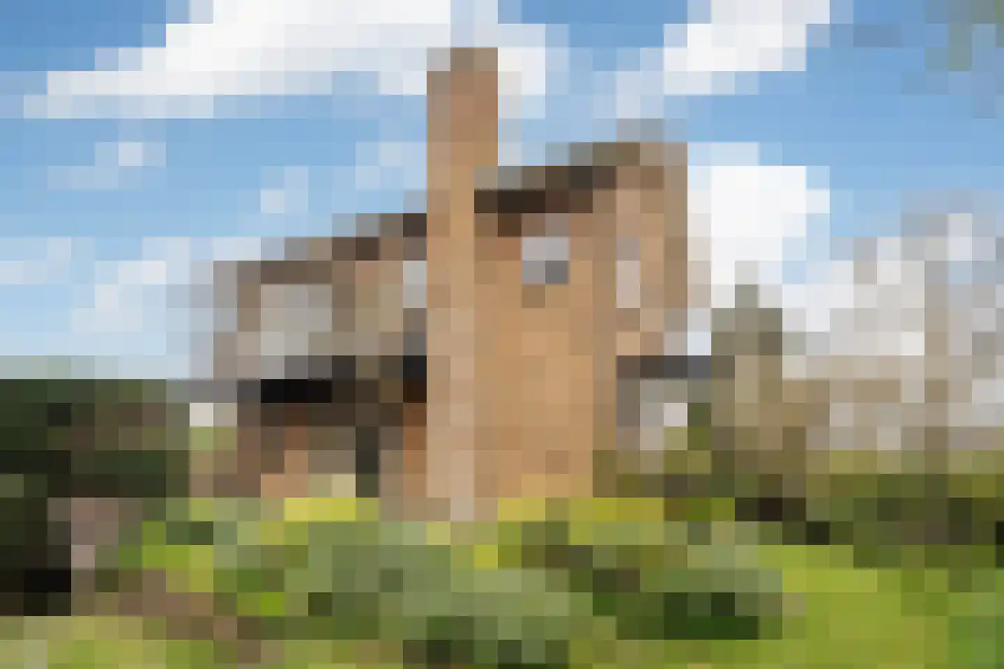 Wagnerkade 21 Heemstede thumbnail 31