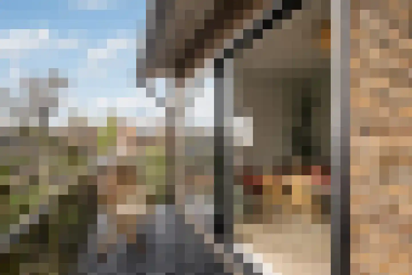 Wagnerkade 21 Heemstede thumbnail 49