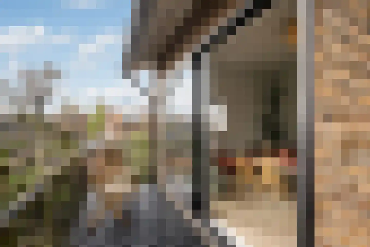 Wagnerkade 21 Heemstede thumbnail 49