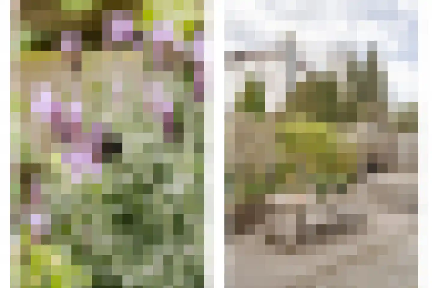 Wagnerkade 21 Heemstede thumbnail 71