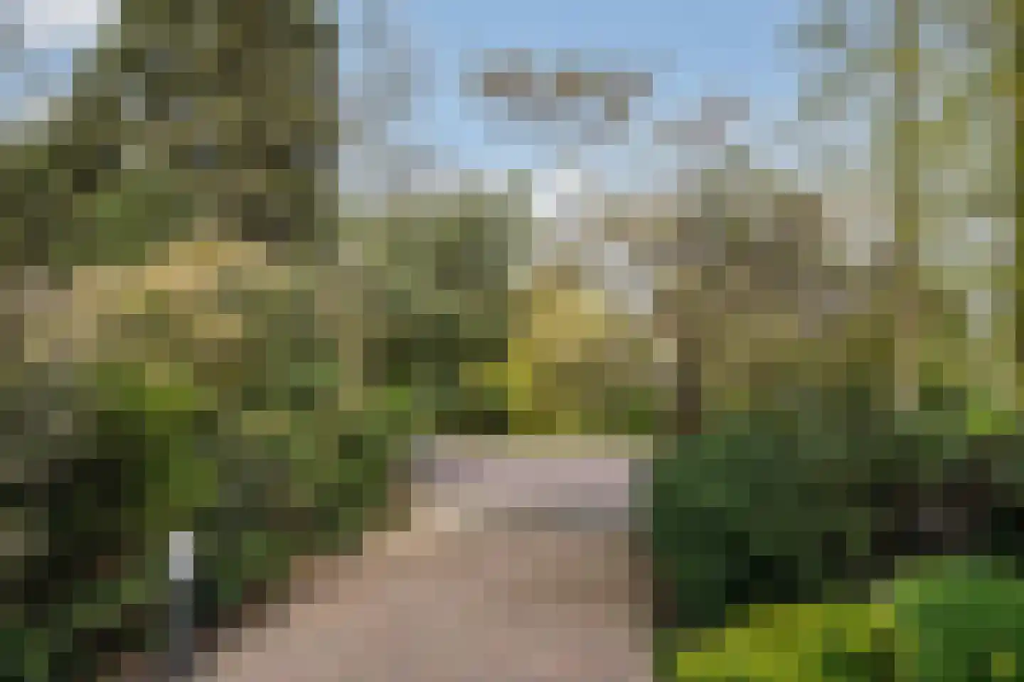 Wagnerkade 21 Heemstede thumbnail 74