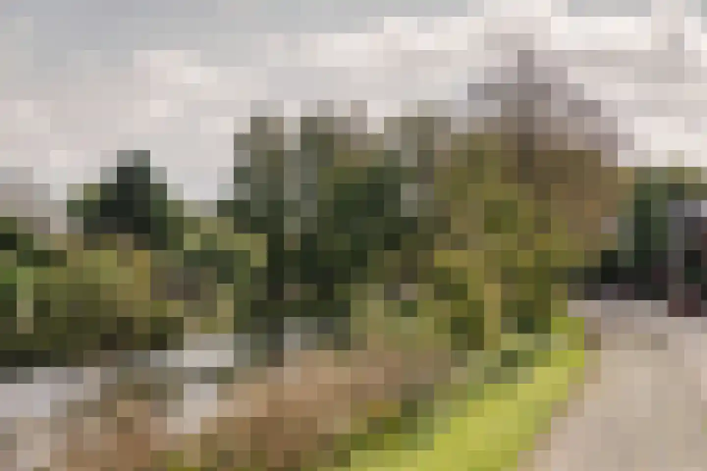 Wagnerkade 51 Heemstede thumbnail 49