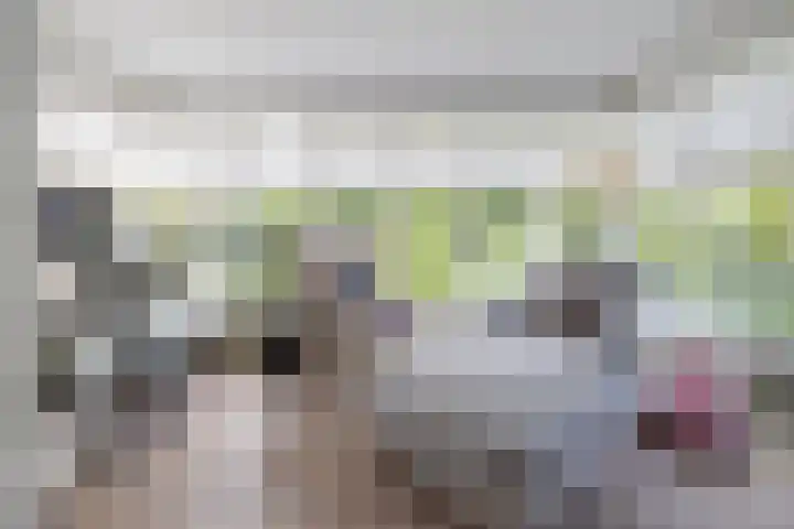 Wagnerlaan 1 Naarden thumbnail 10