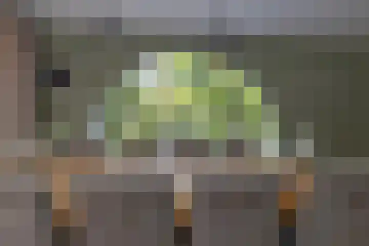 Wagnerlaan 1 Naarden thumbnail 16