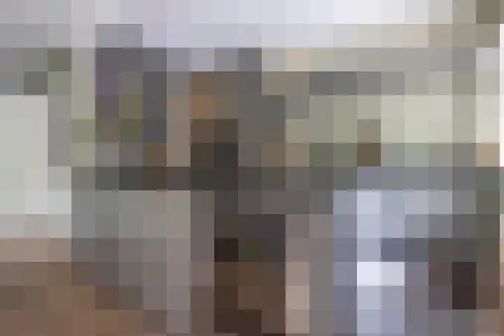 Wagnerlaan 1 Naarden thumbnail 17