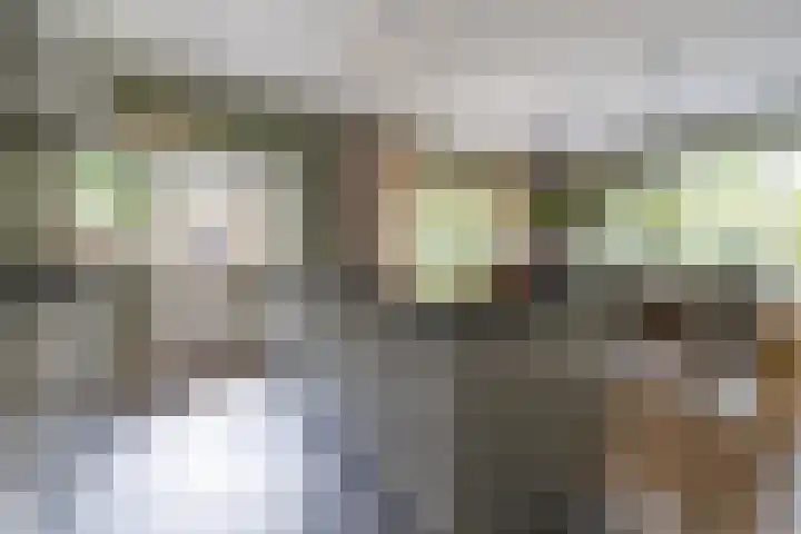 Wagnerlaan 1 Naarden thumbnail 20