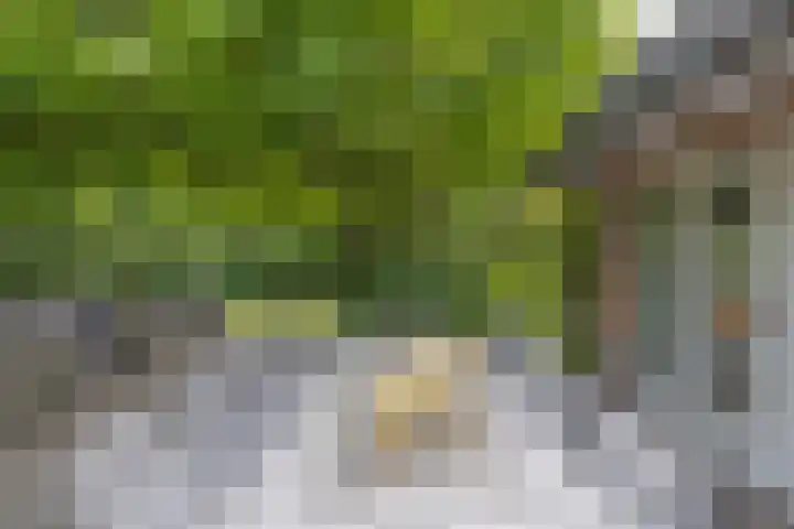 Wagnerlaan 1 Naarden thumbnail 36
