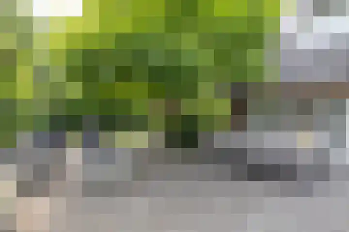 Wagnerlaan 1 Naarden thumbnail 37