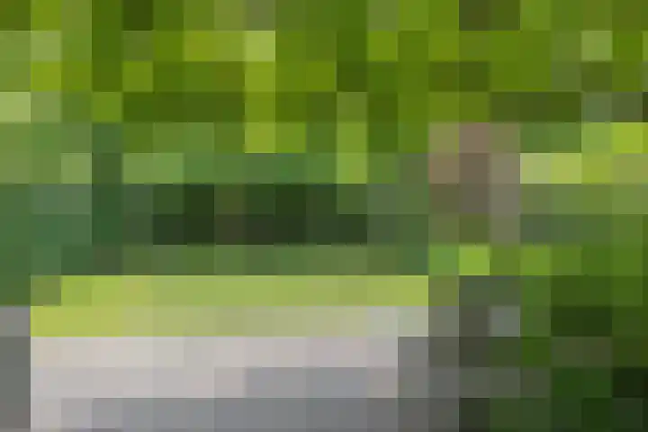 Wagnerlaan 1 Naarden thumbnail 39