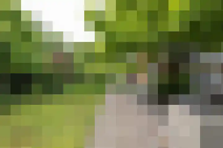 Wagnerlaan 1 Naarden thumbnail 40
