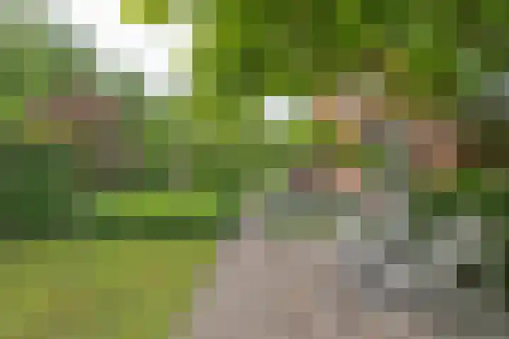 Wagnerlaan 1 Naarden thumbnail 41