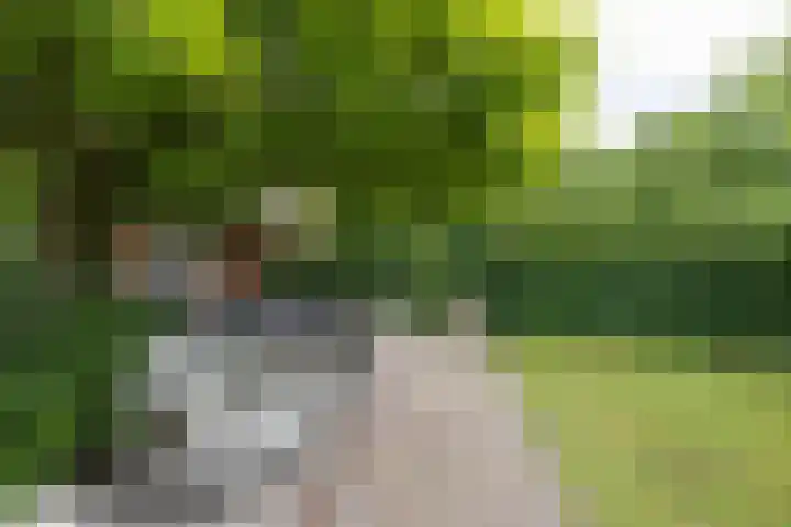 Wagnerlaan 1 Naarden thumbnail 42