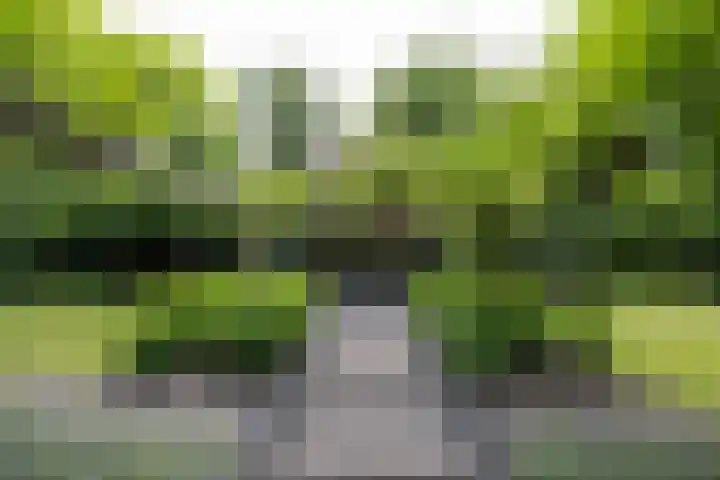Wagnerlaan 1 Naarden thumbnail 44