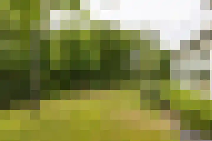 Wagnerlaan 1 Naarden thumbnail 45