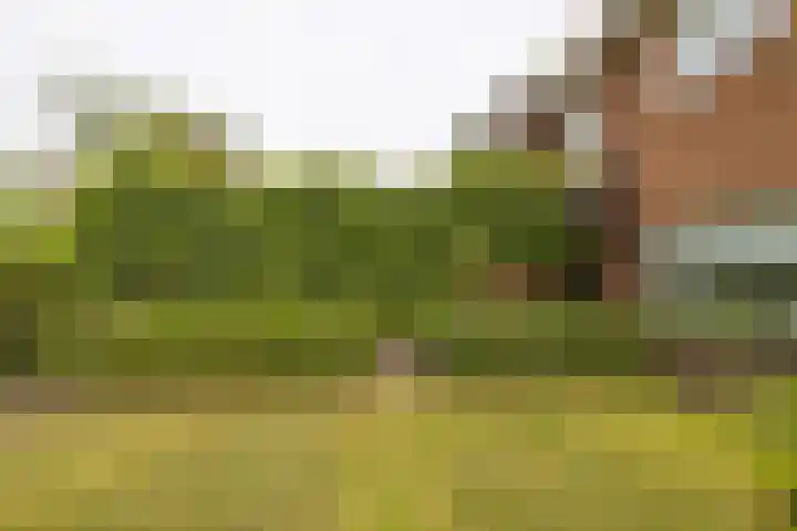 Wagnerlaan 1 Naarden thumbnail 46
