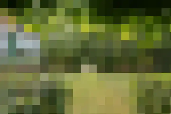 Wagnerlaan 1 Naarden thumbnail 47