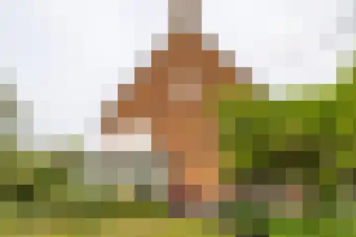 Wagnerlaan 1 Naarden thumbnail 48