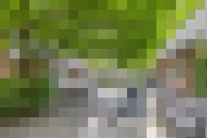 Wagnerlaan 1 Naarden thumbnail 50