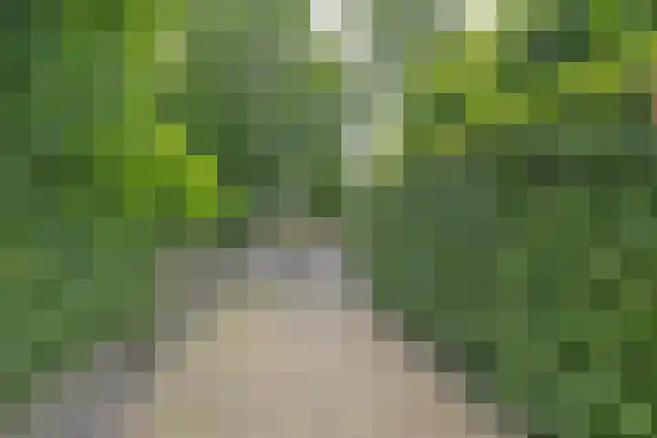 Wagnerlaan 1 Naarden thumbnail 51