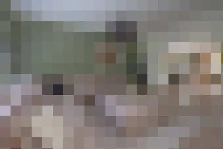 Wagnerlaan 1 Naarden thumbnail 6