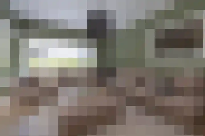 Wagnerlaan 1 Naarden thumbnail 7