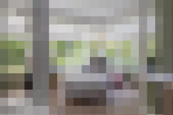Wagnerlaan 1 Naarden thumbnail 8