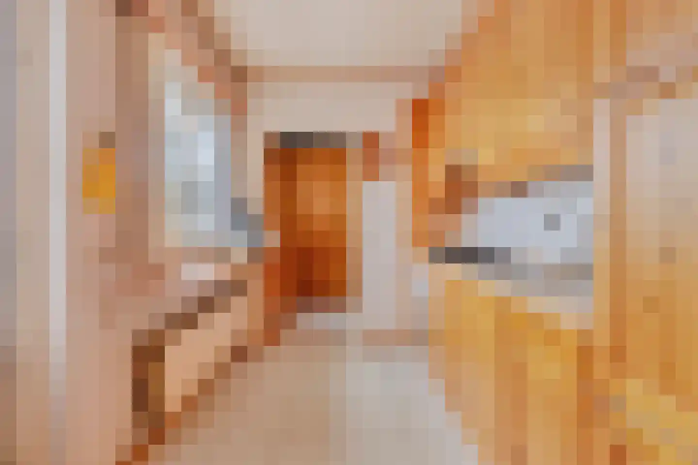 Wagnerlaan 1 Vlijmen thumbnail 12