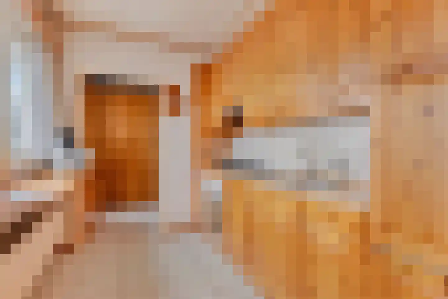 Wagnerlaan 1 Vlijmen thumbnail 13