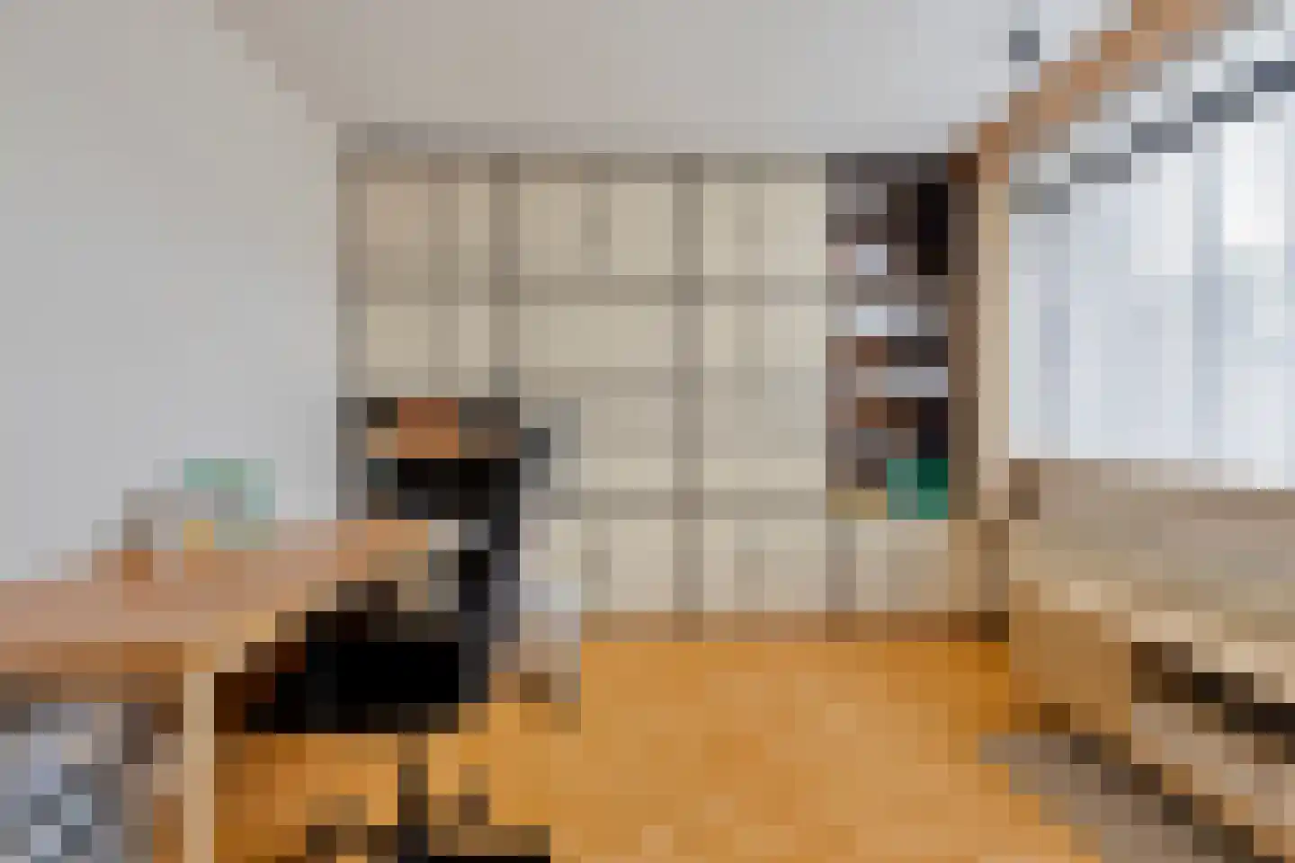 Wagnerlaan 1 Vlijmen thumbnail 22