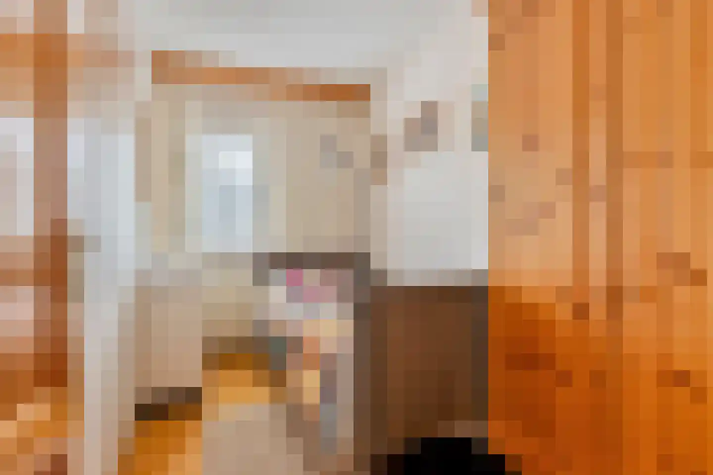 Wagnerlaan 1 Vlijmen thumbnail 23