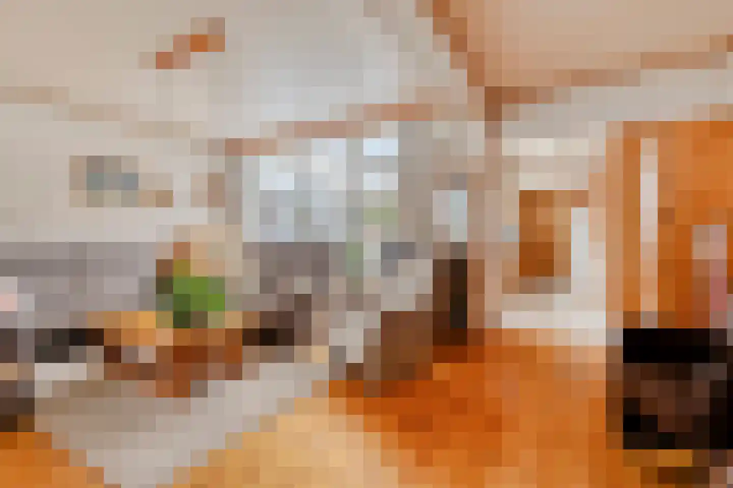 Wagnerlaan 1 Vlijmen foto 3
