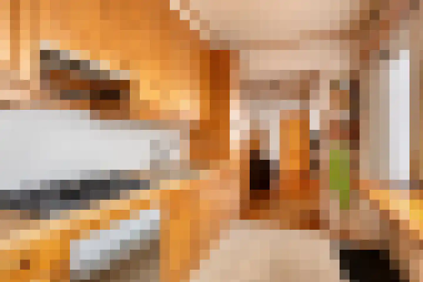 Wagnerlaan 1 Vlijmen thumbnail 4