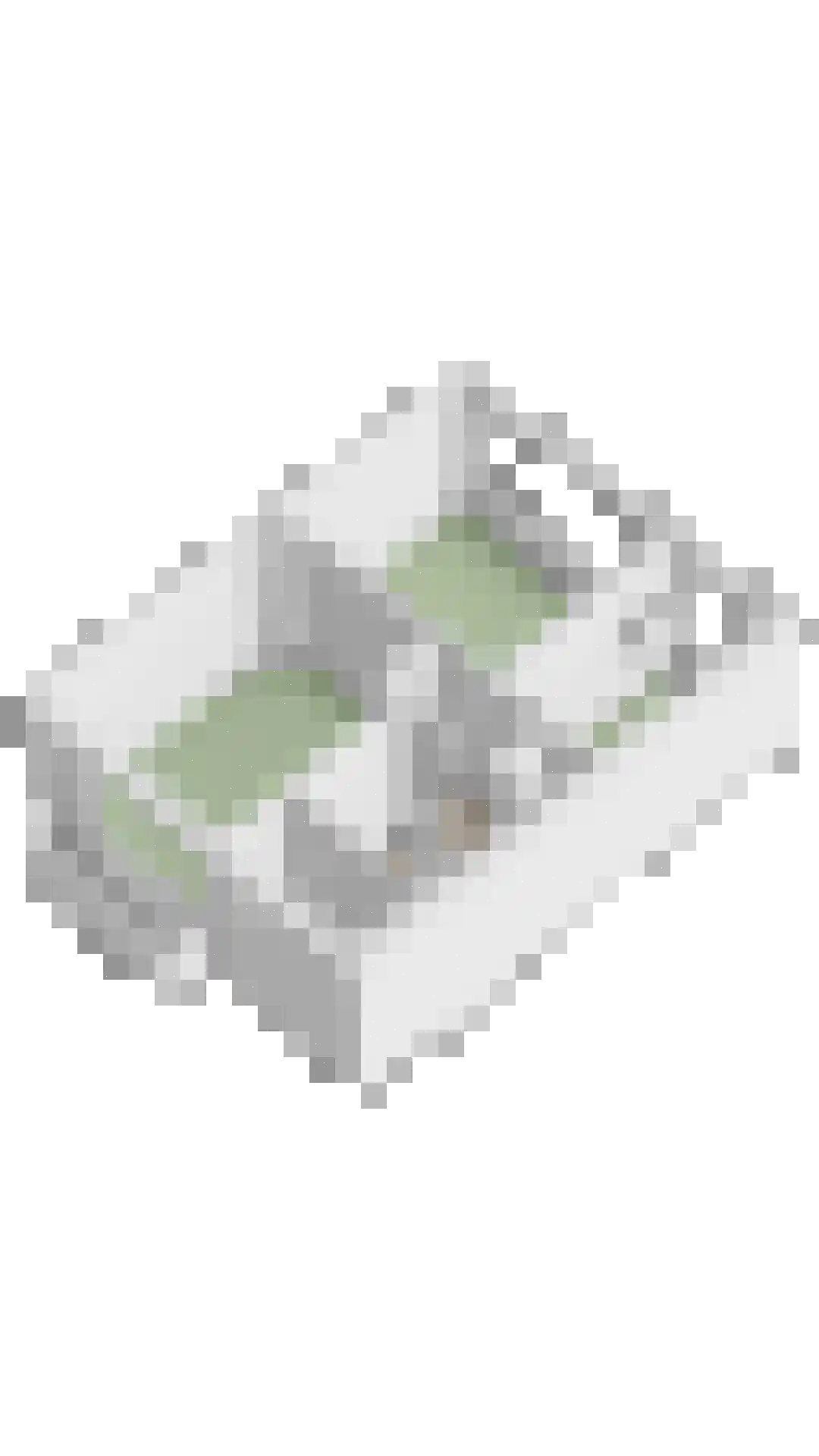 Wagnerlaan 1 Vlijmen thumbnail 43