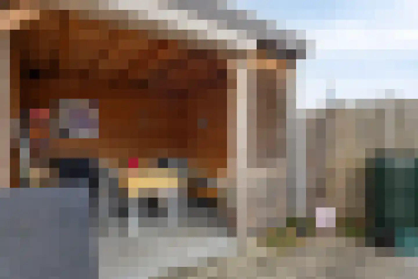 Wagnerlaan 1 Vlissingen thumbnail 26