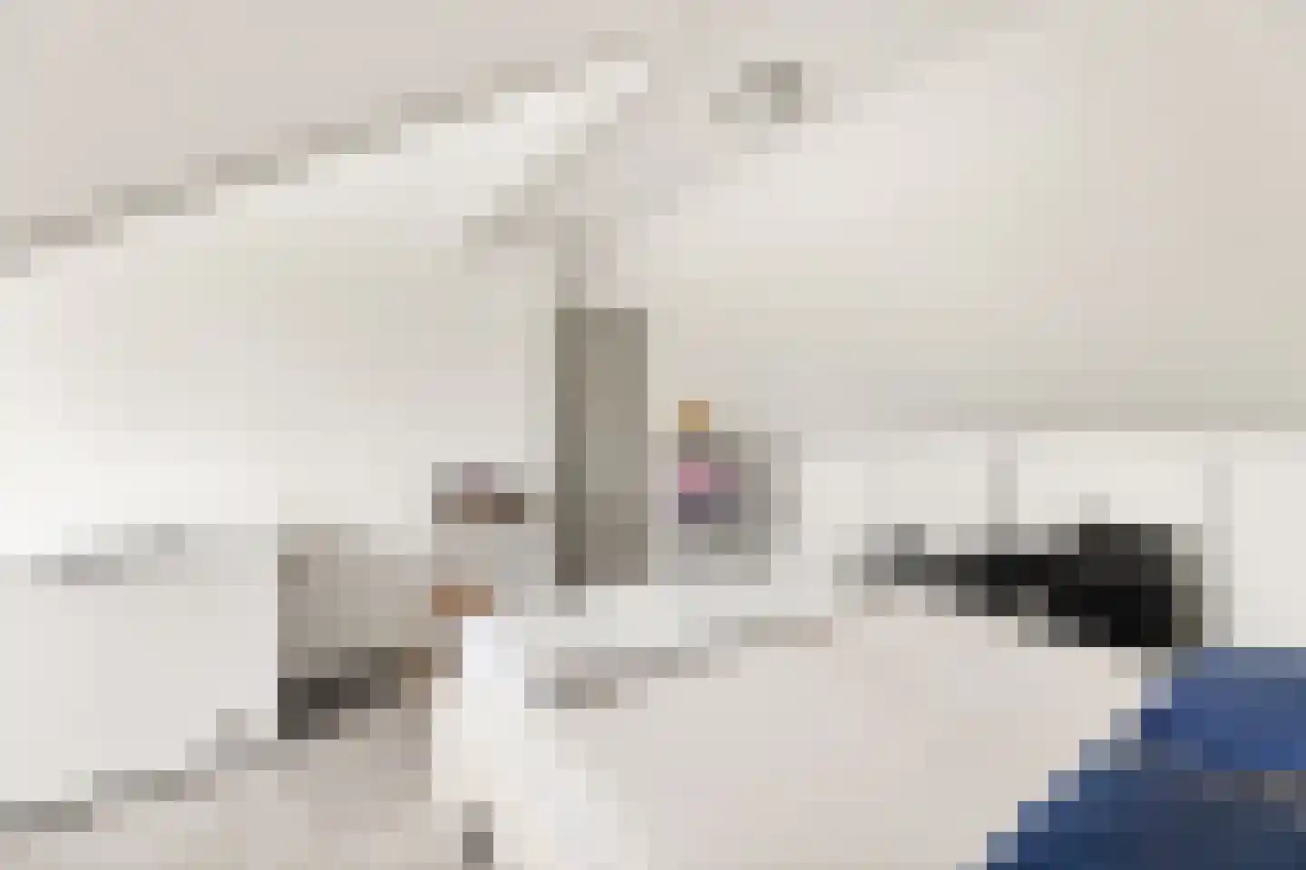 Wagnerlaan 1 Vlissingen thumbnail 42