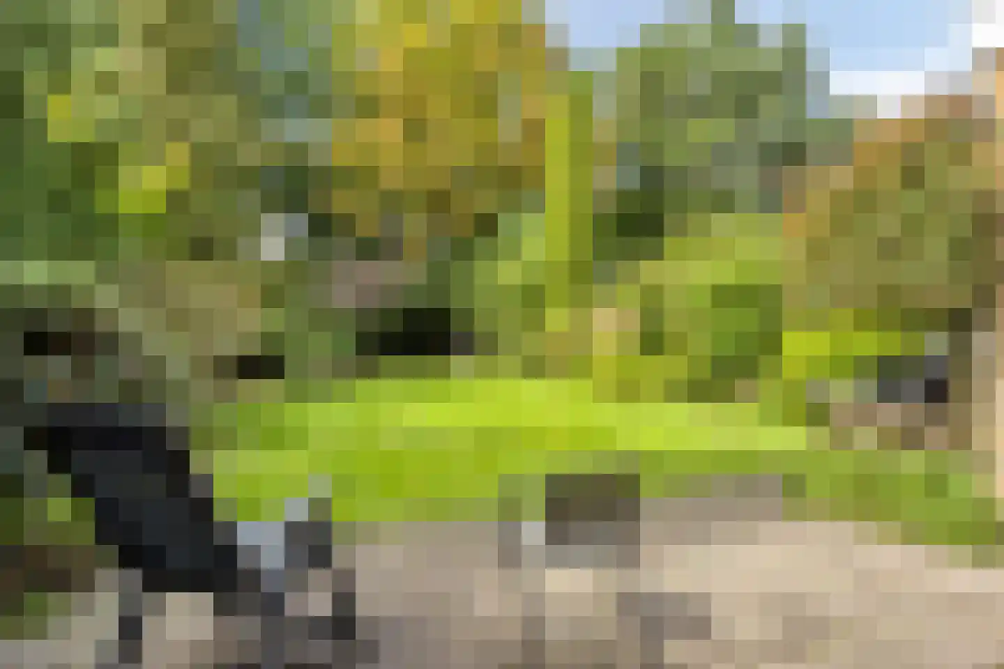 Wagnerlaan 10 Hoogezand thumbnail 25