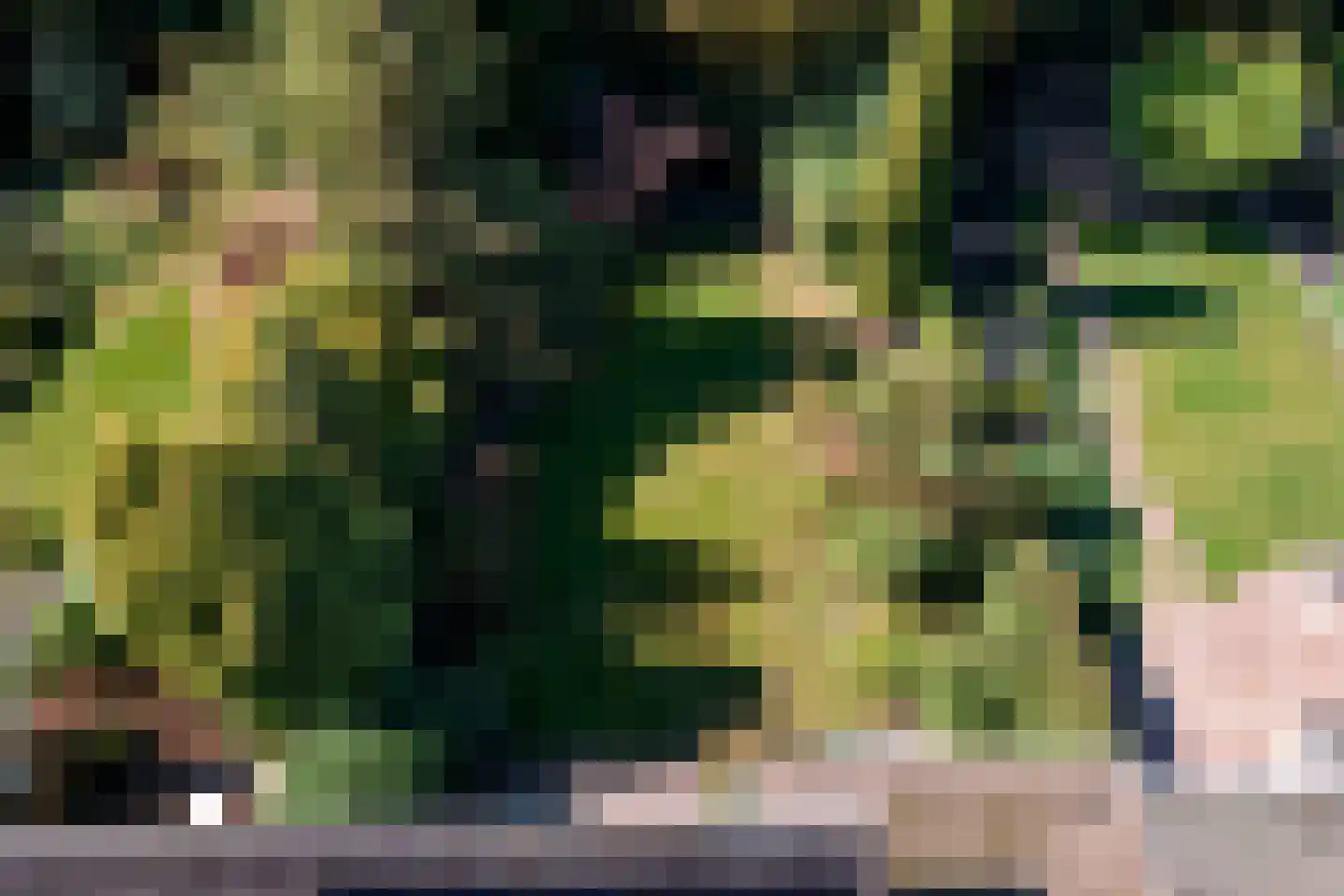Wagnerlaan 10 Hoogezand thumbnail 34