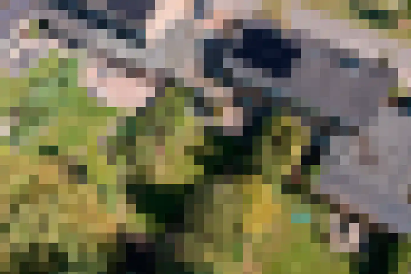 Wagnerlaan 10 Hoogezand thumbnail 35