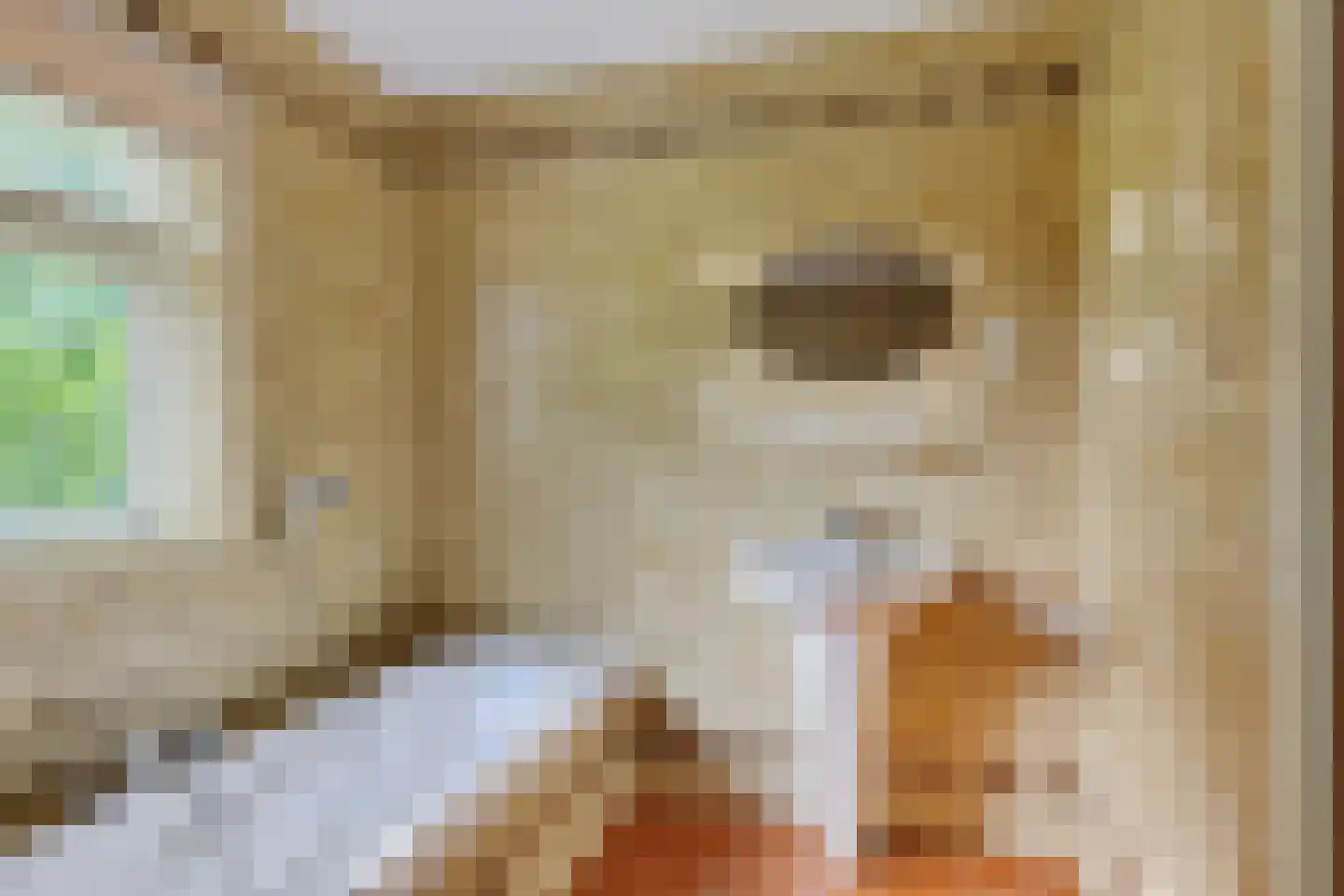 Wagnerlaan 16 Assen thumbnail 26