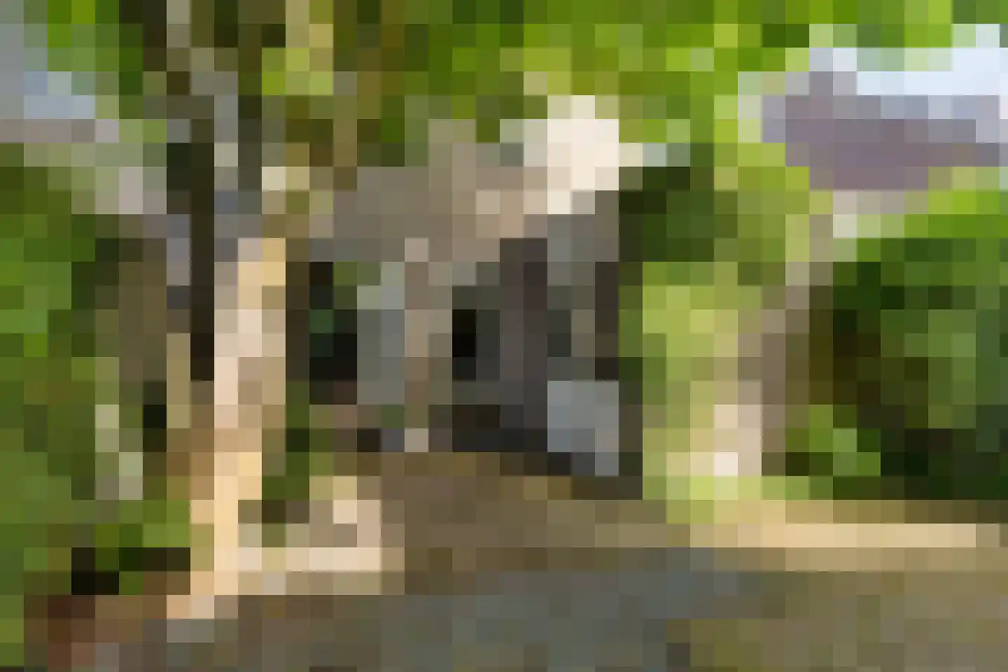 Wagnerlaan 16 Assen thumbnail 35
