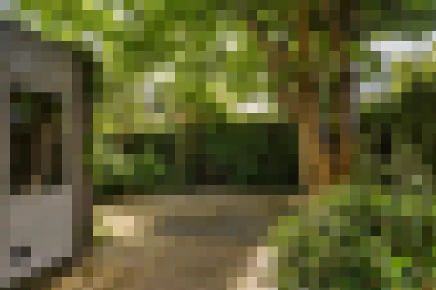 Wagnerlaan 16 Assen thumbnail 36