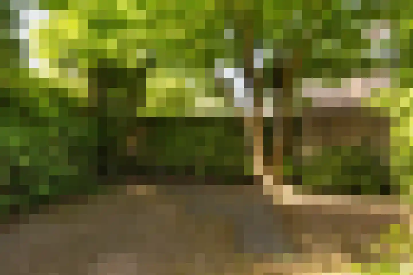 Wagnerlaan 16 Assen thumbnail 37