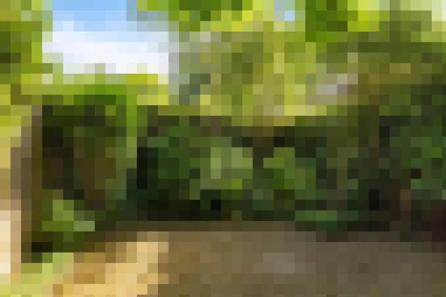 Wagnerlaan 16 Assen thumbnail 38